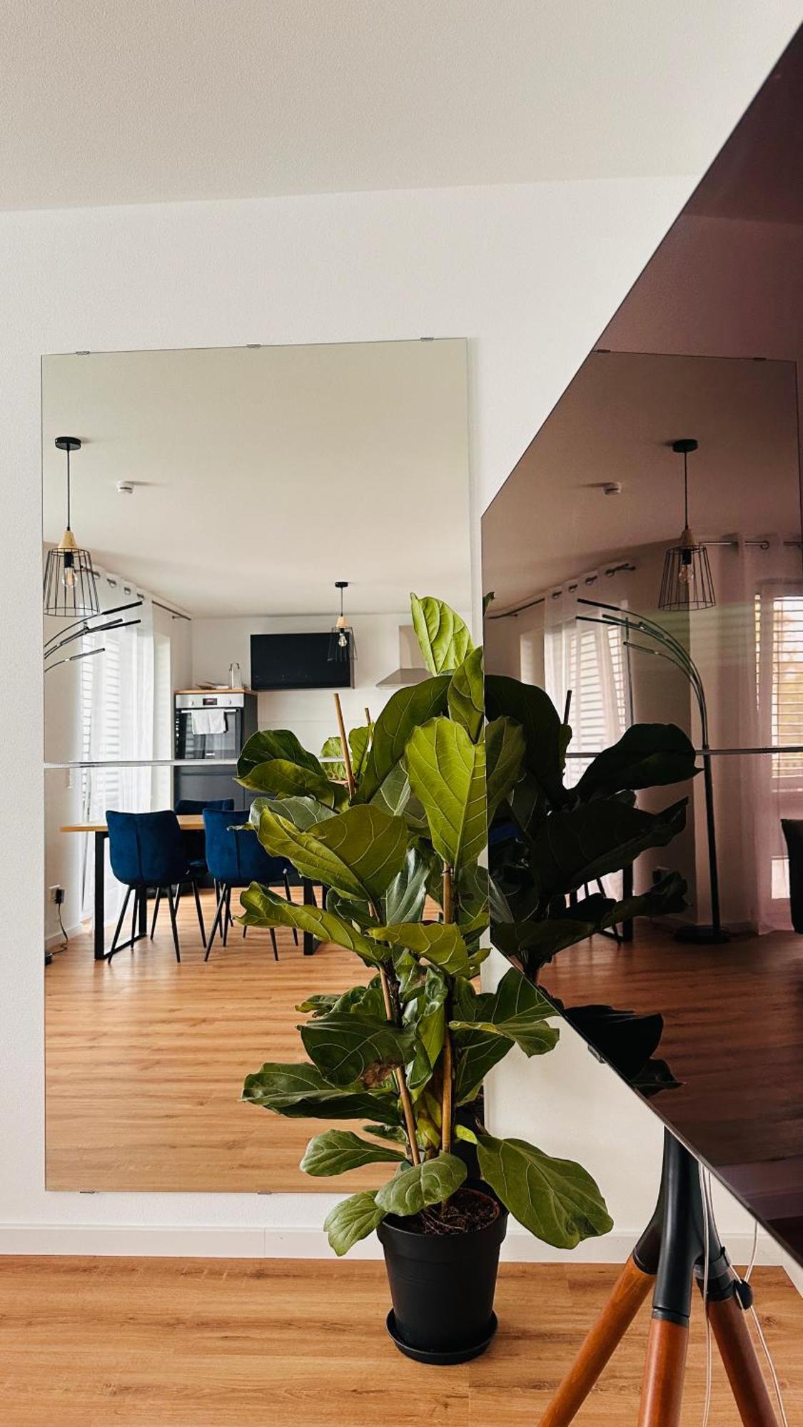 Amao-indigo I 62qm I Mit Balkon & Tiefgarage I Kingsize-boxspringbett I Aufzug